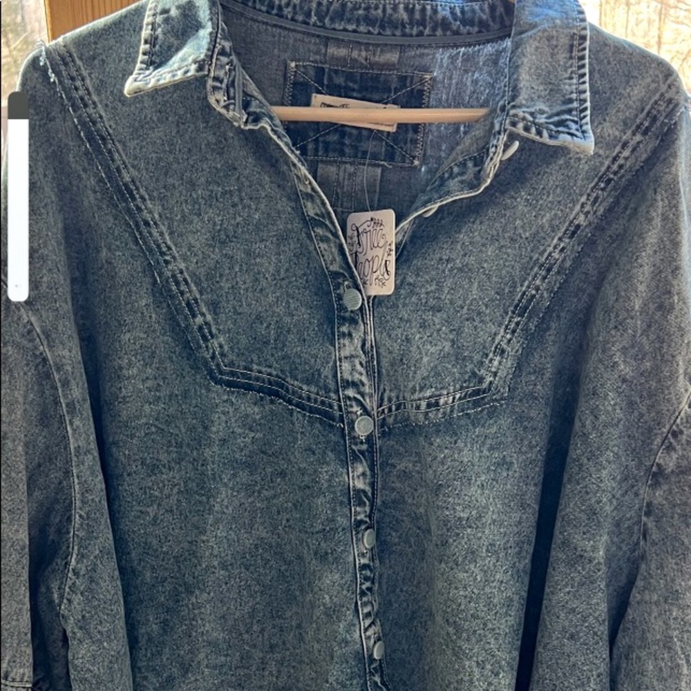 Denim We the Free button down